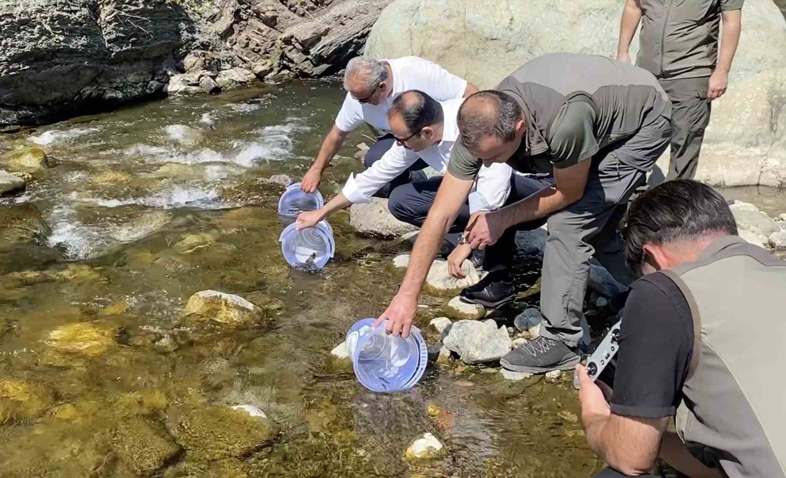 iki-sel-felaketinden-etkilenen-ilisi-cayi-na-15-bin-alabalik-salindi