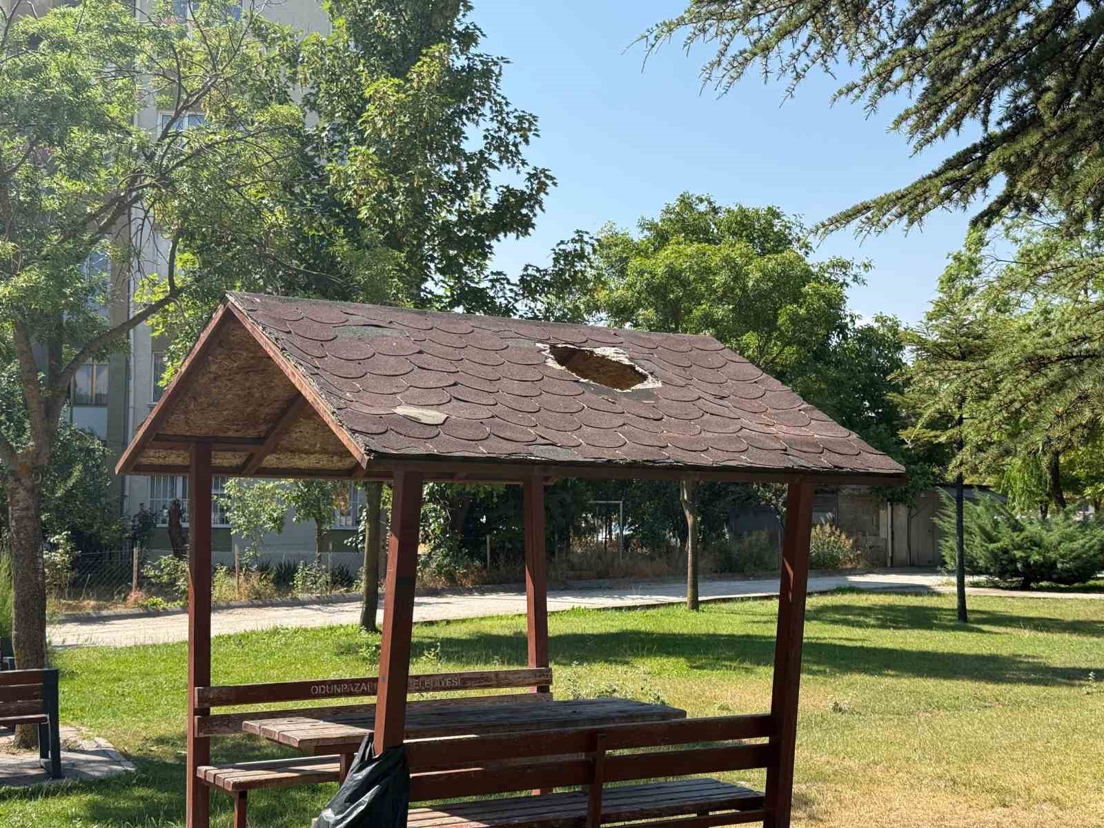 eskisehir-de-parktaki-kamelyanin-catisinda-hasar-meydana-geldi