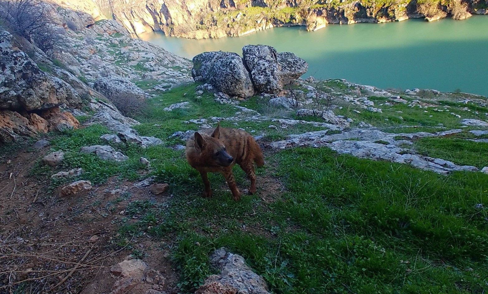 dogal-yasami-bozanlara-5-milyon-tl-ye-kadar-ceza