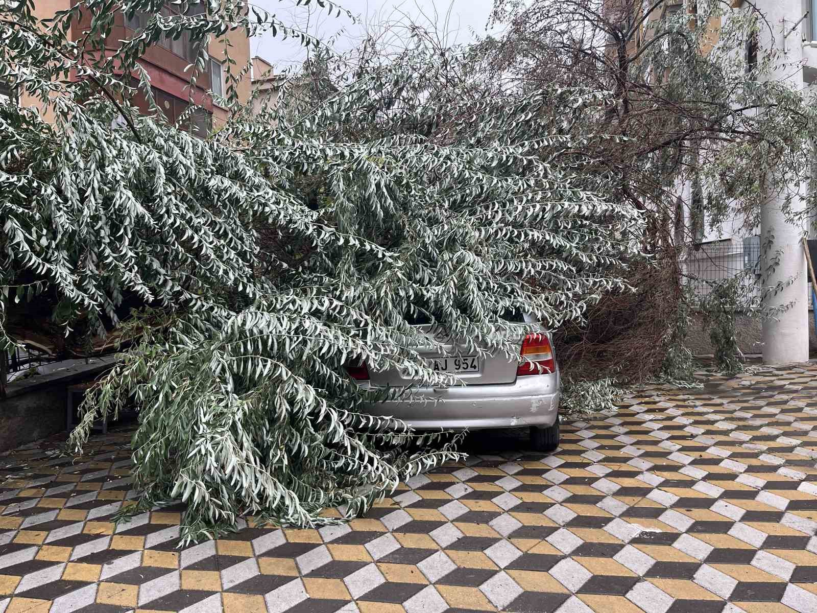 nigde-de-devrilen-agac-park-halindeki-aracin-uzerine-dustu