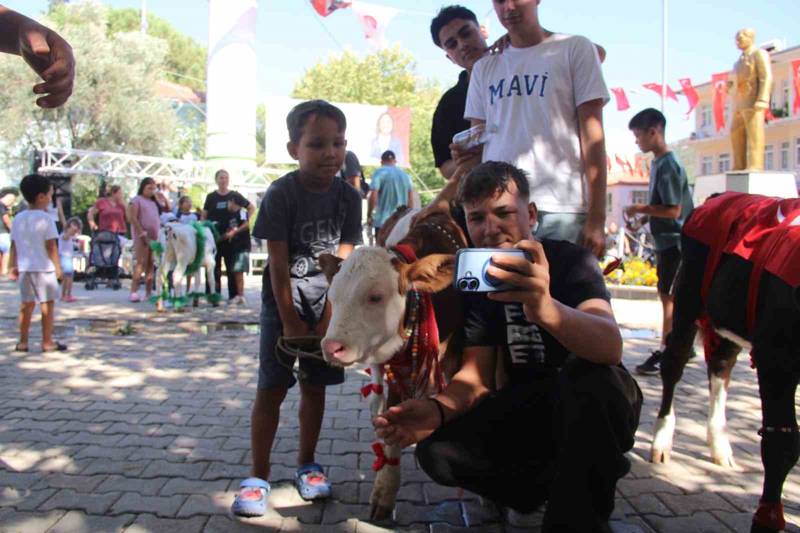 mugla-da-buzagi-guzellik-yarismasi-duzenlendi