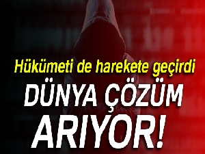Hükümet harekete geçti! Mavi Balina’ya üçlü kıskaç...
