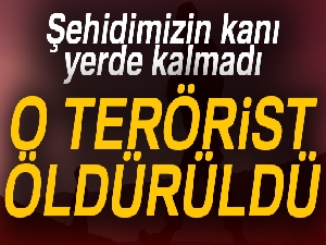 Şehidin kanı yerde kalmadı |Diyarbakır haberleri