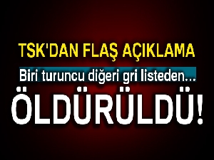 Gri ve turuncu listede aranan teröristler etkisiz hale getirildi