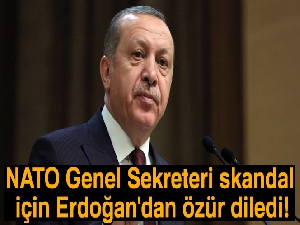 NATO Genel Sekreteri skandal için Erdoğan'dan özür diledi