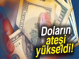 Dolar ve euronun ateşi yükseldi |Dolar ne kadar? (20 Kasım 2017 dolar - euro fiyatları)
