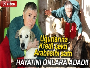 Kredi çekti, arabasını satıp hayatını köpeklere adadı