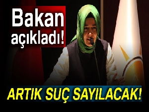 Bakan açıkladı! Artık suç sayılacak