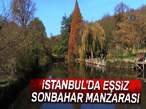 İstanbul'da eşsiz sonbahar manzarası havadan görüntülendi
