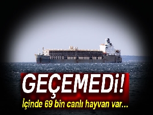 69 bin hayvan yüklü gemi Çanakkale Boğazı'nda demirledi