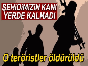 İçişleri Bakanlığı Dargeçit'te ölü ele geçirilen hainlerin karıştığı olayları açıkladı