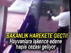 Hayvan öldürene eziyet edene ceza gibi ceza geliyor