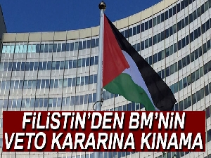 Filistin, Birleşmiş Milletlerin veto kararını kınadı