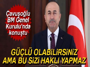 Dışişleri Bakanı Çavuşoğlu: 'Güçlü olabilirsiniz ama bu sizi haklı yapmaz'