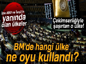 BM'de hangi ülke ne oyu kullandı? |BM'de ABD ve İsrail'in yanında olan ülkeler hangileri