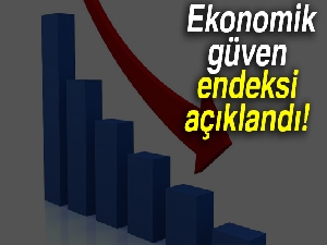 Ekonomik güven endeksi Aralık'ta düştü