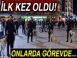 Kangallar ilk kez yılbaşı devriyesinde