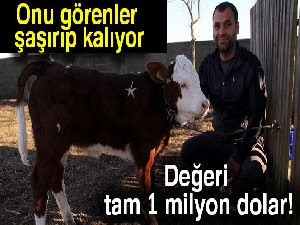 Bu buzağı 1 milyon dolar
