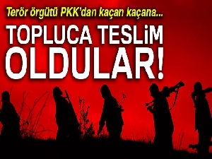 Terör örgütünden kaçan kaçana