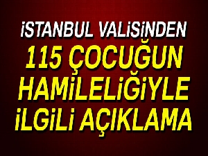 İstanbul Valisi Şahin, 115 çocuğun hamileliğiyle ilgili konuştu