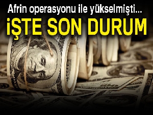 Dolar ne kadar? 22 Ocak dolar fiyatları...