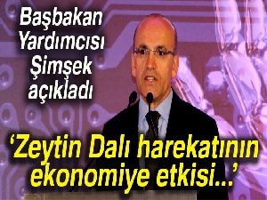 Mehmet Şimşek: 'Operasyonun ekonomiye etkisi son derece sınırlı'