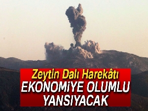 Zeytin Dalı Harekatı, ekonomiye olumlu yansıyacak