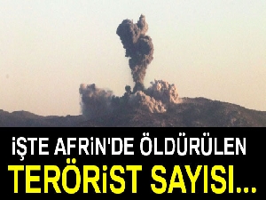 Şamil Tayyar, Afrin'de öldürülen terörist sayısını açıkladı