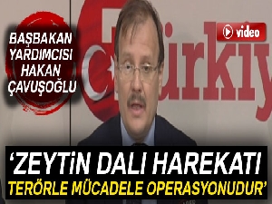 Başbakan Yardımcısı Çavuşoğlu: 'Zeytin Dalı Harekatı, terörle mücadele harekatıdır'