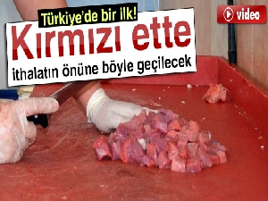 Kırmızı ette ithalatın önüne embriyo transferi ile geçilecek