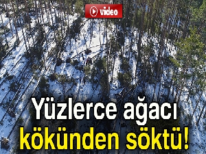 Kuvvetli rüzgar yüzlerce ağacı kökünden söktü