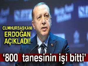 Cumhurbaşkanı Erdoğan: 800 terörist etkisiz hale getirildi
