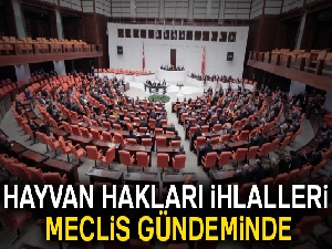 Hayvan hakları ihlalleri Meclis gündemine geliyor