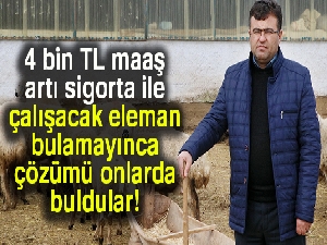 Yerli çoban sıkıntısı Afganlılara istihdam sağladı