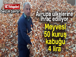 Meyvesi 50 kuruş, kabuğu 4 lira