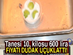 Tanesi 10, kilosu 600 lira