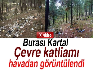 Kartal'da ormanlık alanda çevre katliamı havadan görüntülendi