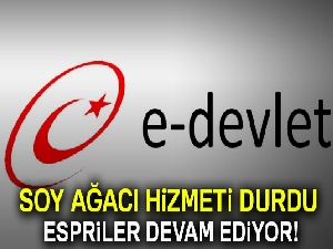 Soyağacı hizmeti durdu; Espriler devam ediyor