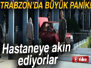 Trabzon'da şarbon paniği