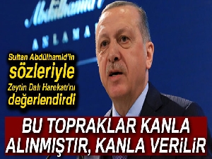 Cumhurbaşkanı Erdoğan, Sultan Abdülhamid’in sözleriyle Zeytin Dalı Harekatı'nı değerlendirdi