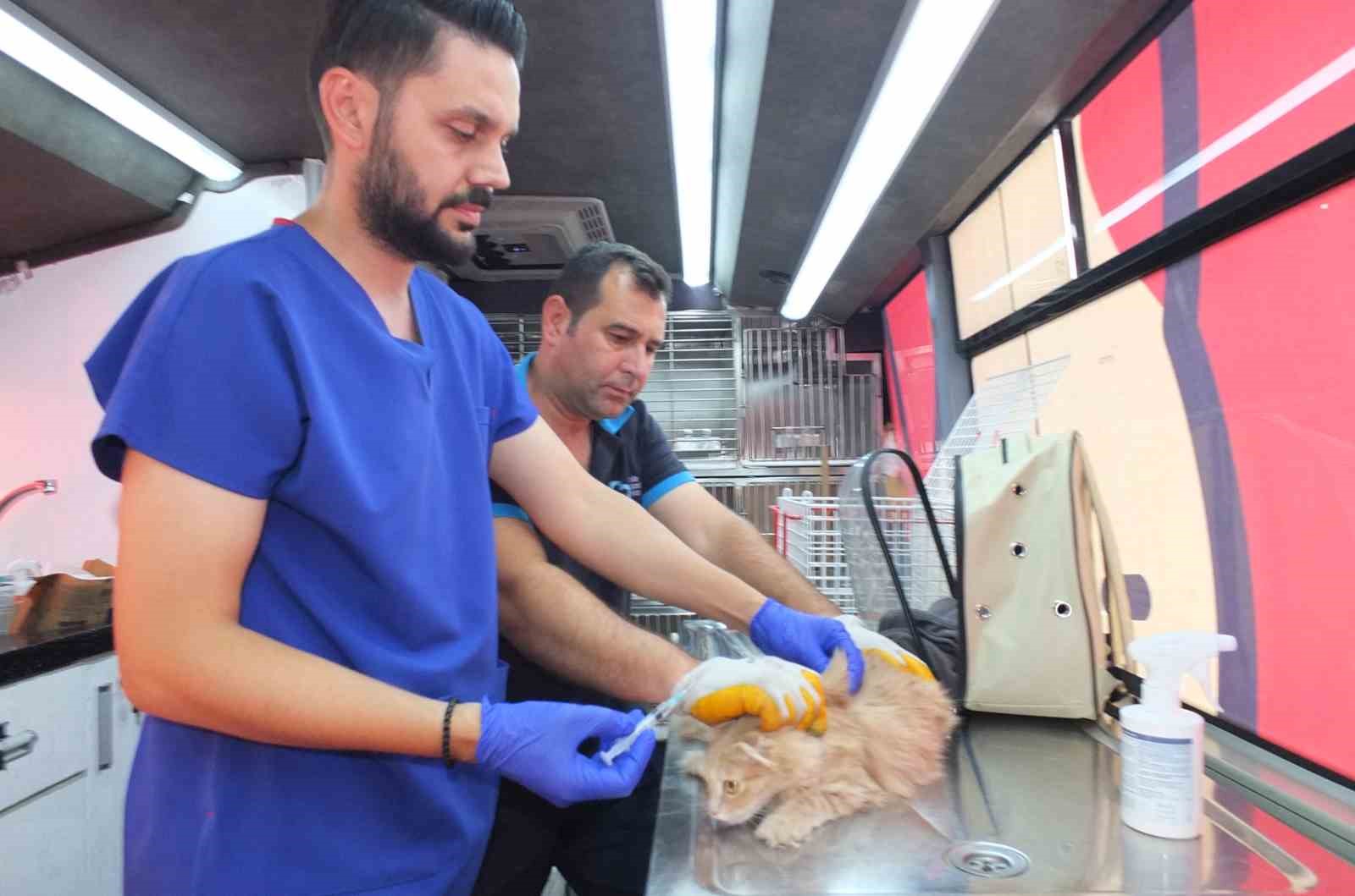 balikesir-de-can-dost-18-bin-sokak-hayvanina-saglik-hizmeti-verdi