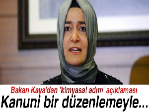 Bakan Kaya’dan 'kimyasal hadım' açıklaması