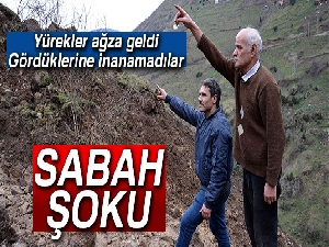 Heyelan fındık bahçesini yok etti