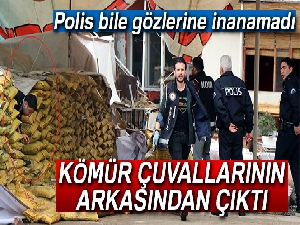 Kayseri'de Roma dönemine ait kral mezarı bulundu! Yarın açılacak