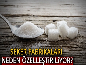 Şeker fabrikaları neden özelleştiriliyor?