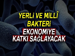 Yerli ve millî bakteri ekonomiye katkı sağlayacak