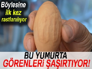 Bu yumurta görenleri şaşırtıyor
