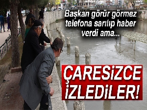 Yeşilırmak’ta balık ölümleri