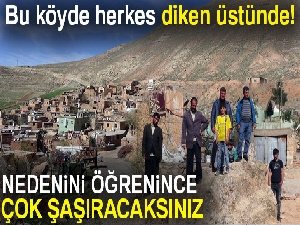 Bu köyde herkes diken üstünde