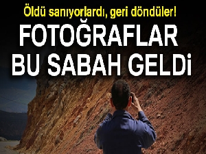 Ölümleri dikkat çekmişti, sürü halinde görüldüler